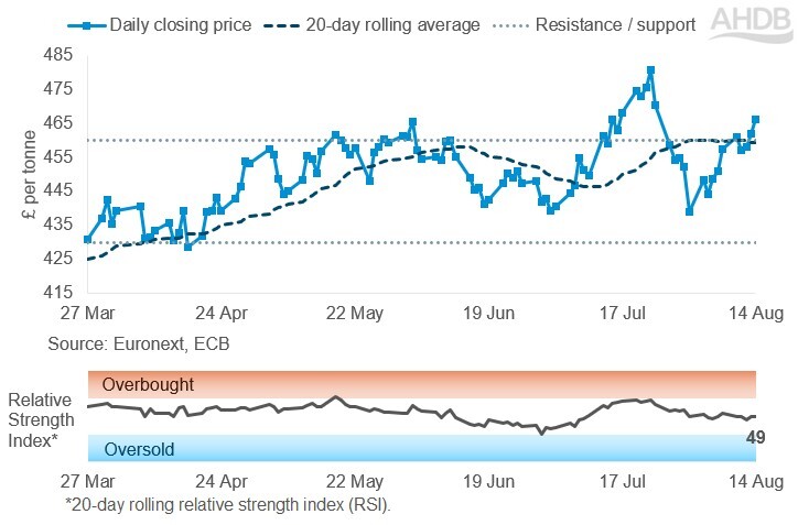 Line graph of Paris rapeseed futures Nov-26 contract prices in £/t over the past six months.